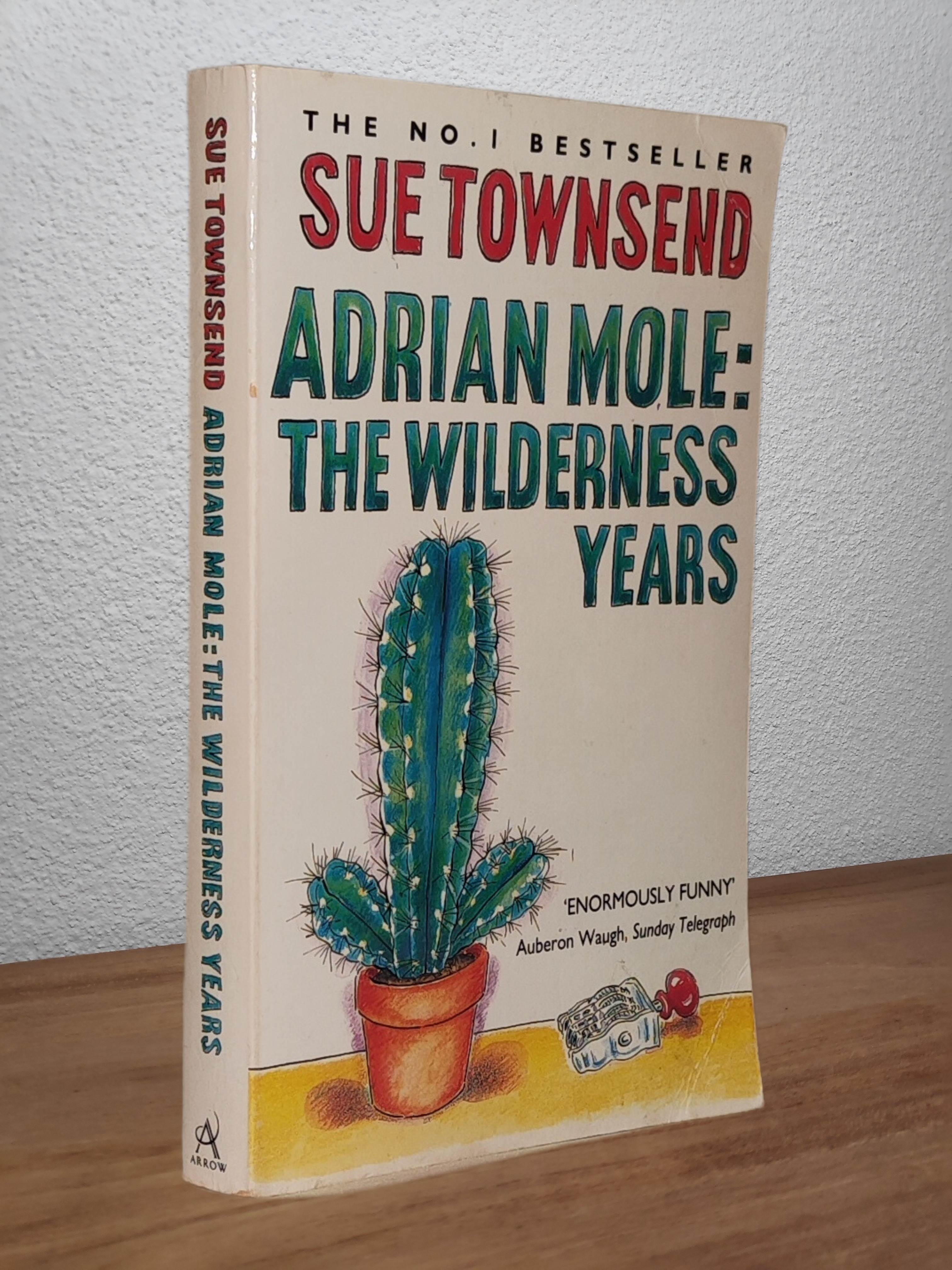 Sue Townsend - Adrian Mole: The Wilderness Years